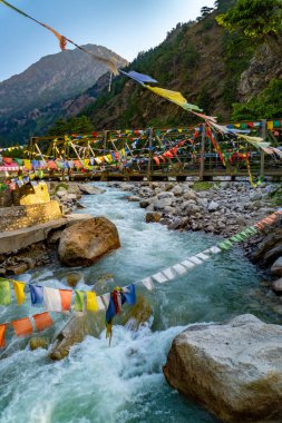 Ganj Nehri 'nin kutsal bir kolu olan Bhagirathi Nehri, Gangotri Buzulu' ndan Harsil Vadisi 'ne akar..