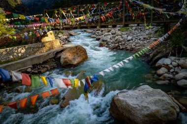 Ganj Nehri 'nin kutsal bir kolu olan Bhagirathi Nehri, Gangotri Buzulu' ndan Harsil Vadisi 'ne akar..