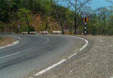 Uttarakhand, Dehradun 'da bir orman yolu, kentsel genişleme ve kaynak talepleri nedeniyle orman örtüsünün azaltıldığını gösteriyor.