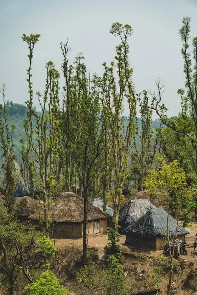 Uttarakhand 'da yarı göçebe Van Gujjjars, çamurlu evlerde yaşıyor, bufalo çiftçiliği yapıyor. Hindistan