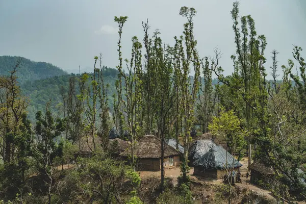 Uttarakhand 'da yarı göçebe Van Gujjjars, çamurlu evlerde yaşıyor, bufalo çiftçiliği yapıyor. Hindistan