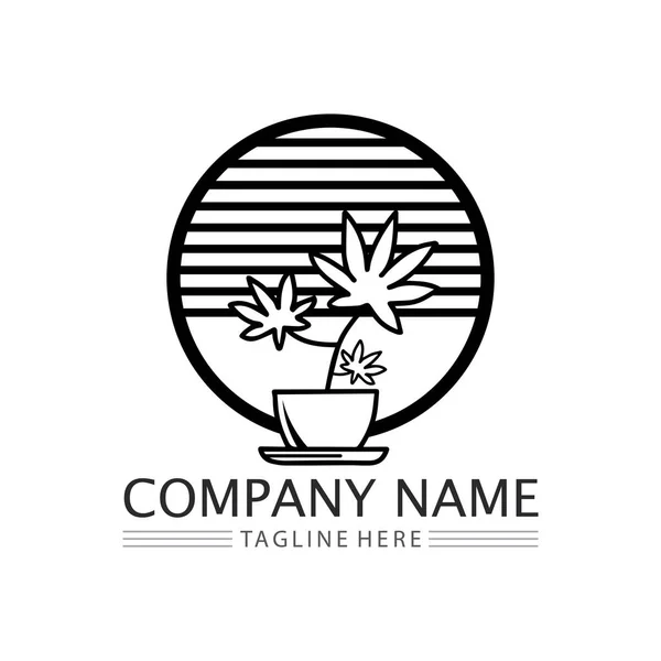 Cannabis Logo Marijuana Leaf Icon Vector — Stock Vector