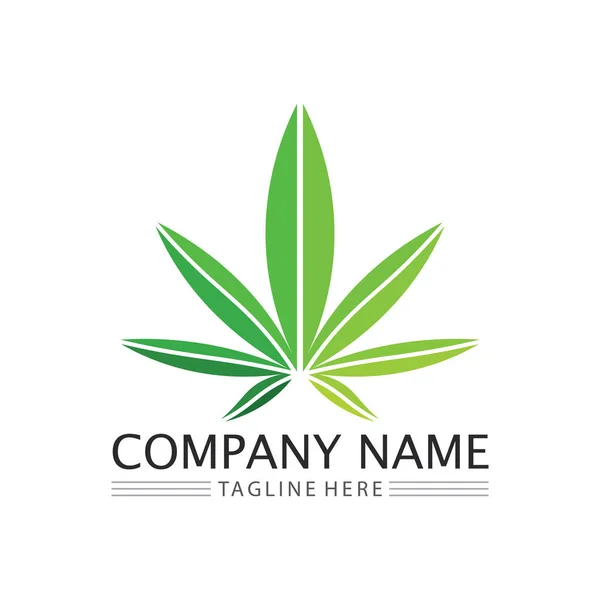 Logo Marihuany Wektor Liści Marihuany — Wektor stockowy