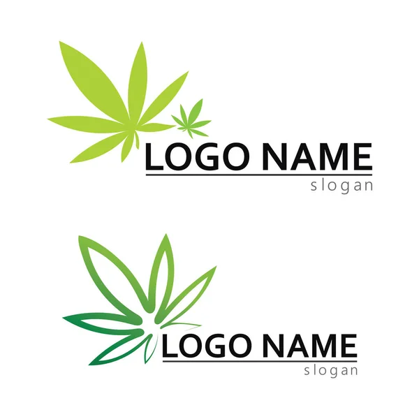 Logo Cannabis Vecteur Icône Feuille Marijuana — Image vectorielle