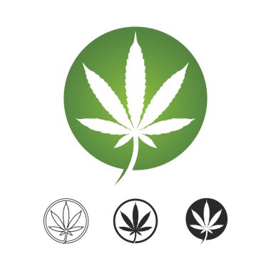 Esrar logosu ve marihuana yaprağı vektör tasarımı