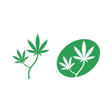 Esrar logosu ve marihuana yaprağı vektör tasarımı