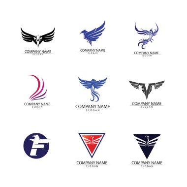 Şahin Kartalı Kuş Logo Şablonu vektör simgesi