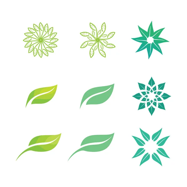 Modèle Concept Logo Semences Végétales Logo Semences Vector Growing Modèle — Image vectorielle