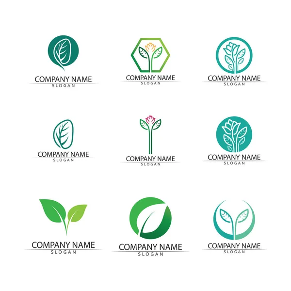 Bitki Tohumları Logosu Konsept Şablon Vektörü Tohum Yetiştirme Logosu Tohum — Stok Vektör