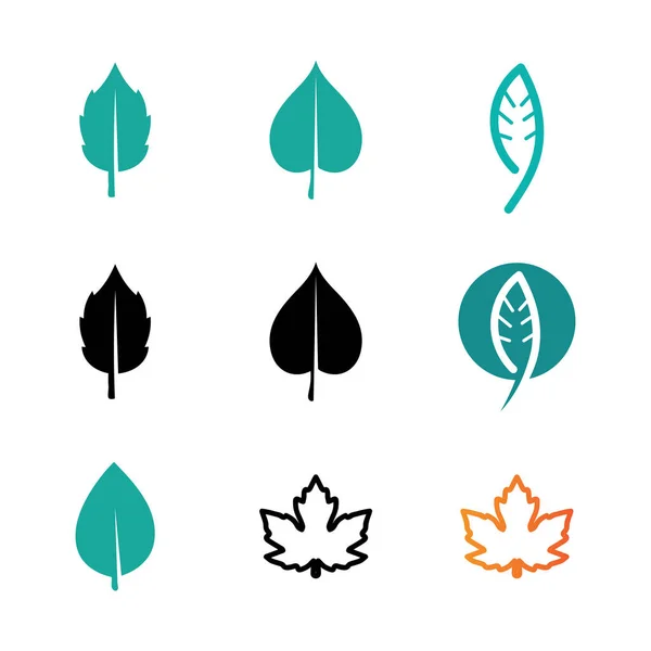 Plant Seeds Logo Concept Template Vector Growing Seed Log Seed — Stockový vektor