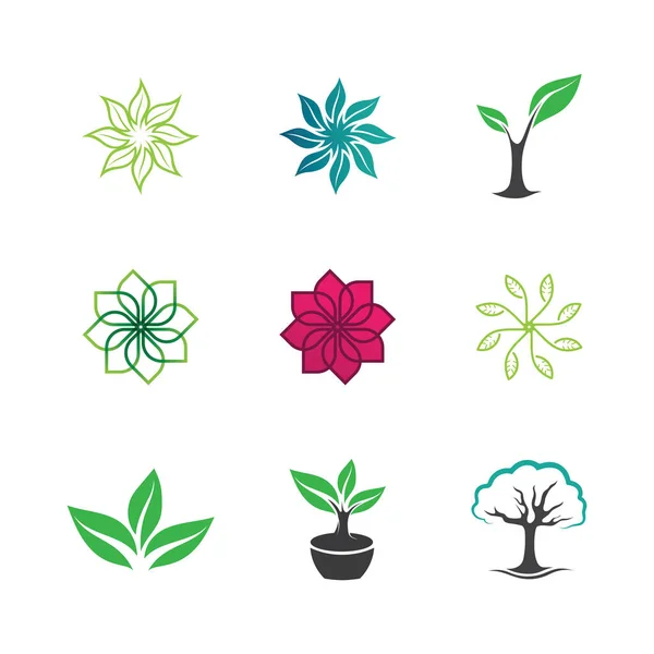 Pflanzensamen Logo Konzept Vorlage Vector Growing Seed Logo Seed Grow — Stockvektor