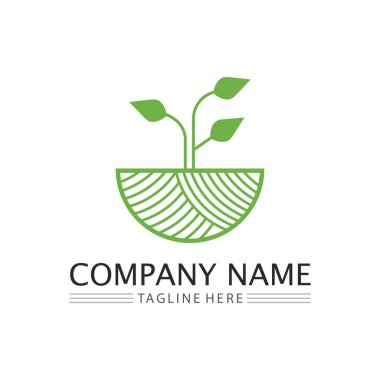 Ağaç logosu vektör illüstrasyon tasarımı. Ağaç logosundan bir ağaç şablonunun vektör silueti ve yaşam tasarımı illüstrasyonunun kök ağacı