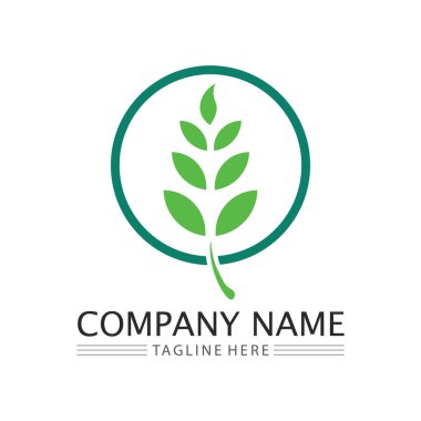 Doğa sembolü şablonu için yaprak logosu tasarım vektörü düzenlenebilir, Yeşil yapraklı logo ekoloji doğa element vektörü simgesi