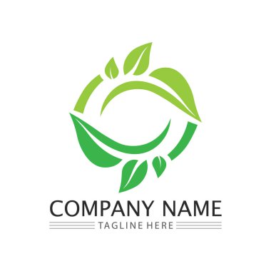 Doğa sembolü şablonu için yaprak logosu tasarım vektörü düzenlenebilir, Yeşil yapraklı logo ekoloji doğa element vektörü simgesi
