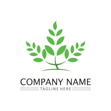 Doğa sembolü şablonu için yaprak logosu tasarım vektörü düzenlenebilir, Yeşil yapraklı logo ekoloji doğa element vektörü simgesi