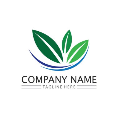Doğa sembolü şablonu için yaprak logosu tasarım vektörü düzenlenebilir, Yeşil yapraklı logo ekoloji doğa element vektörü simgesi