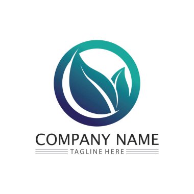 Yaprak sembollü Eko Enerji Vektör Logosu. Şimşek ya da gök gürültüsü grafikli yeşil renk. Doğa ve elektrik yenilenebilir. Bu logo teknoloji, geri dönüşüm, organik.