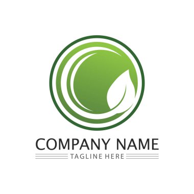 Yaprak sembollü Eko Enerji Vektör Logosu. Şimşek ya da gök gürültüsü grafikli yeşil renk. Doğa ve elektrik yenilenebilir. Bu logo teknoloji, geri dönüşüm, organik.