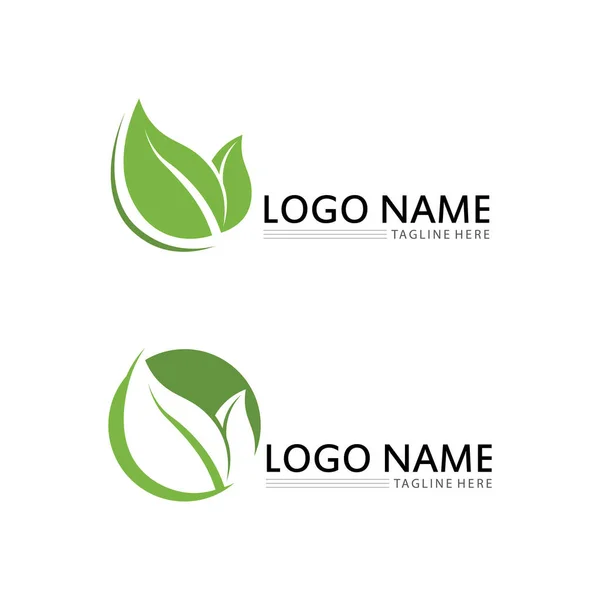 Logotipo Vetor Energia Eco Com Símbolo Folha Cor Verde Com —  Vetores de Stock