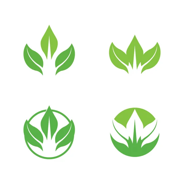 Λογότυπο Eco Energy Vector Σύμβολο Φύλλου Πράσινο Χρώμα Flash Thunder — Διανυσματικό Αρχείο