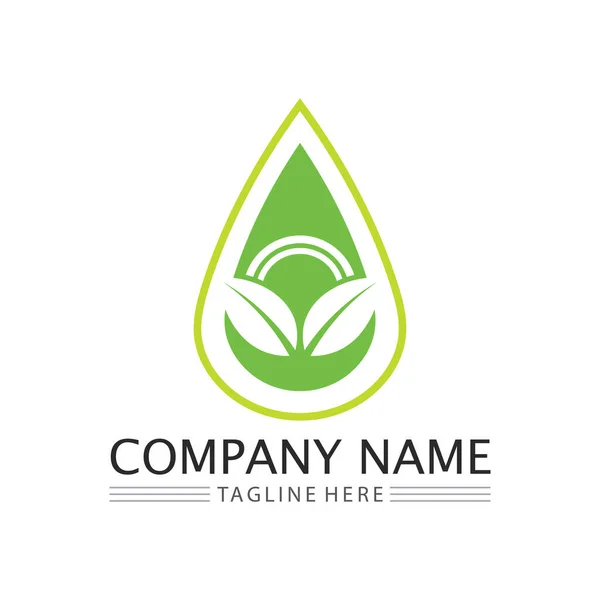 Логотип Вектора Екологічної Енергії Символом Листя Зелений Колір Спалахом Або — стоковий вектор