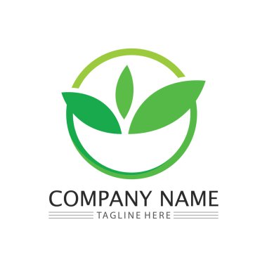 Ağaç logosu vektör illüstrasyon tasarımı. Ağaç logosundan bir ağaç şablonunun vektör silueti ve yaşam tasarımı illüstrasyonunun kök ağacı