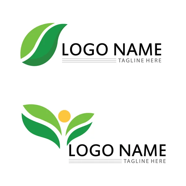 Ağaç Logosu Vektör Illüstrasyon Tasarımı Ağaç Logosundan Bir Ağaç Şablonunun — Stok Vektör