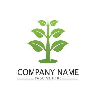 Ağaç logosu vektör illüstrasyon tasarımı. Ağaç logosundan bir ağaç şablonunun vektör silueti ve yaşam tasarımı illüstrasyonunun kök ağacı
