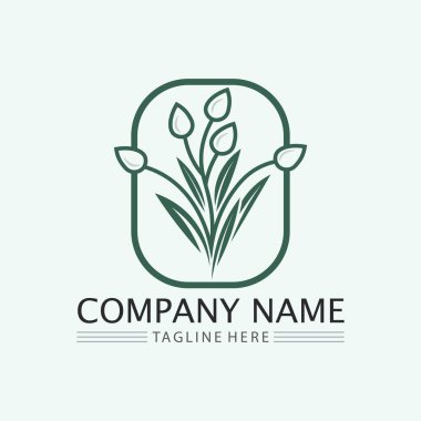 Doğa sembolü şablonu için yaprak logosu tasarım vektörü düzenlenebilir, Yeşil yapraklı logo ekoloji doğa element vektörü simgesi