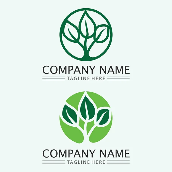 Blatt Logo Design Vektor Für Natur Symbol Vorlage Editierbar Grünes — Stockvektor