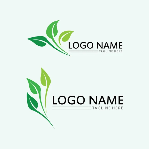 Doğa Sembolü Şablonu Için Yaprak Logosu Tasarım Vektörü Düzenlenebilir Yeşil — Stok Vektör