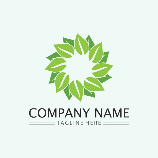 Vetor Projeto Logotipo Folha Para Modelo Símbolo Natureza Editável Ícone — Vetor de Stock