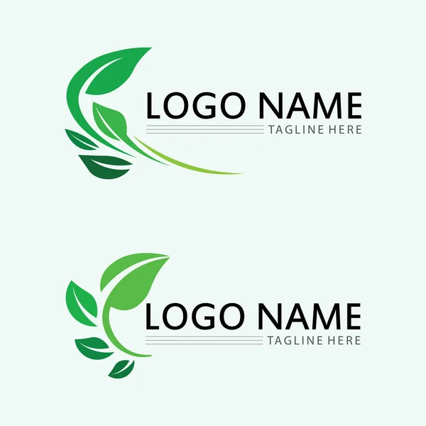 Vetor Projeto Logotipo Folha Para Modelo Símbolo Natureza Editável Ícone —  Vetores de Stock