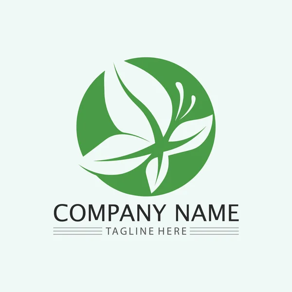 Vecteur Conception Logo Feuille Pour Modèle Symbole Nature Modifiable Vert — Image vectorielle