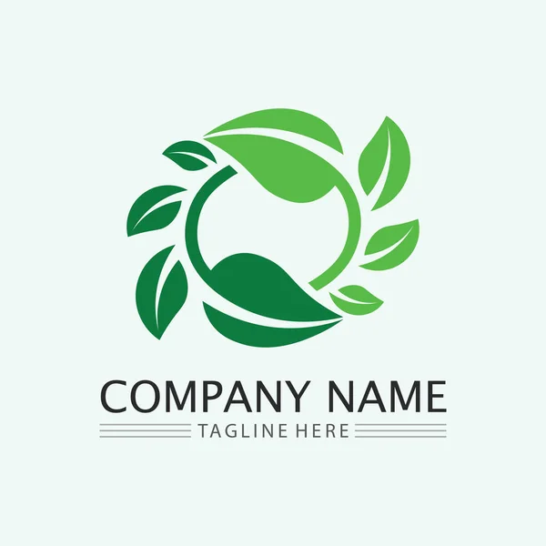 Foglia Logo Design Vettore Natura Simbolo Modello Modificabile Foglia Verde — Vettoriale Stock