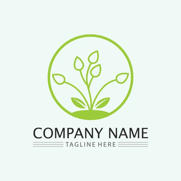 Blad Logo Ontwerp Vector Voor Natuur Symbool Template Bewerkbaar Groene — Stockvector