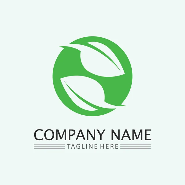 Leaf Logo Design Vector Nature Symbol Template Editable Green Leaf — Stock Vector