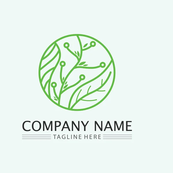 Doğa Sembolü Şablonu Için Yaprak Logosu Tasarım Vektörü Düzenlenebilir Yeşil — Stok Vektör