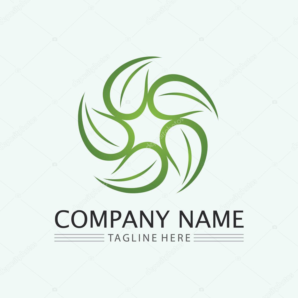 Flower logo. The circular logo. Logo of the flower. Stylized flower. Petals. Simple logo. The brand name  emblem  logo. Mandala. Logo boutique. Logotype for beauty. Logo for flower shop.