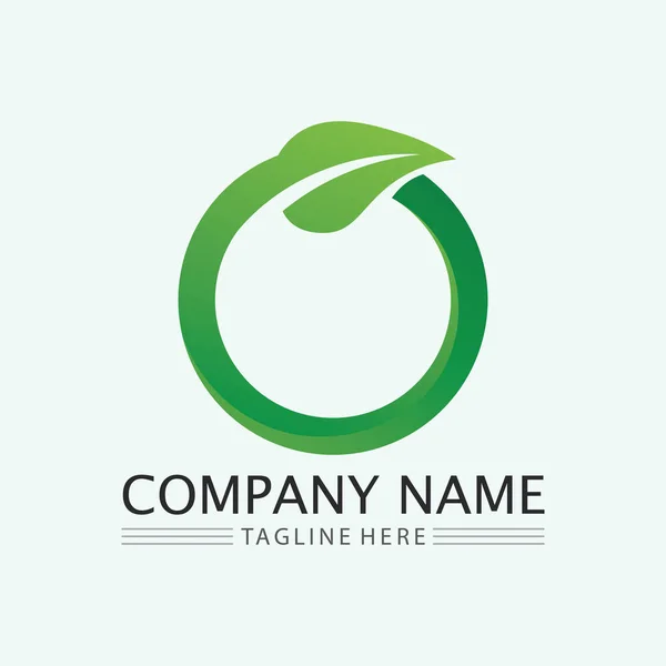 Leaf Logo Design Vector Nature Symbol Template Editable Green Leaf — Stock Vector