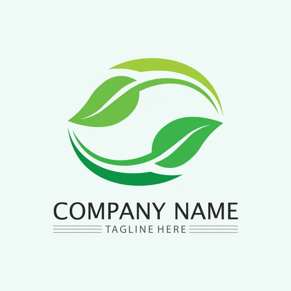 Logo Liści Wektor Projektu Dla Szablonu Symbol Natury Edytowalny Zielone — Wektor stockowy