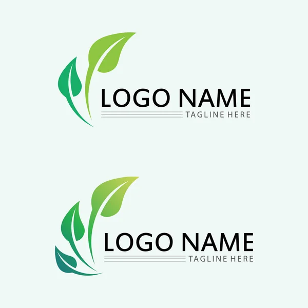 Blad Logotyp Design Vektor För Natur Symbol Mall Redigerbar Gröna — Stock vektor