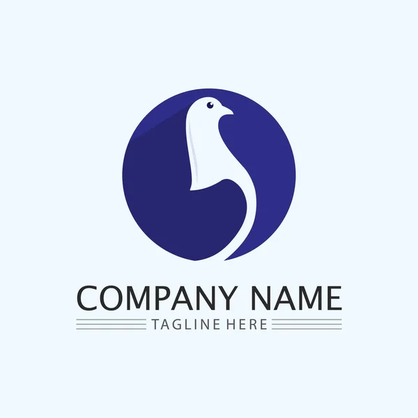 Bird Wing Dove Logo Skabelon Vektor Illustration – Stock-vektor