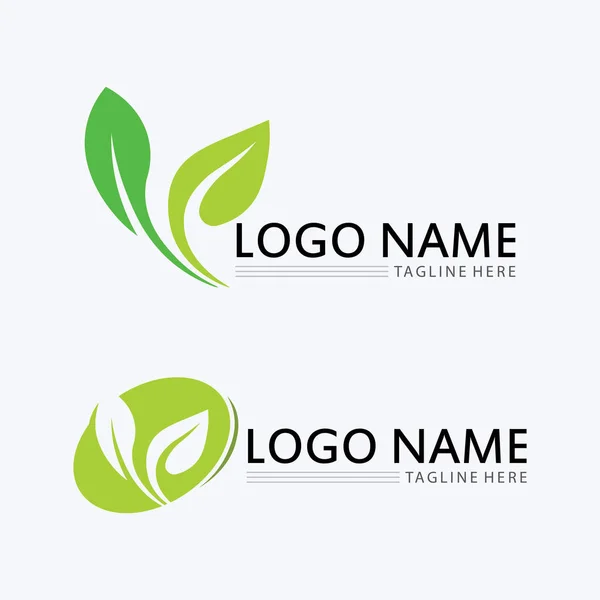아이콘 Design Vector Silhouette Tree Template Tree Logo Root Tree — 스톡 벡터