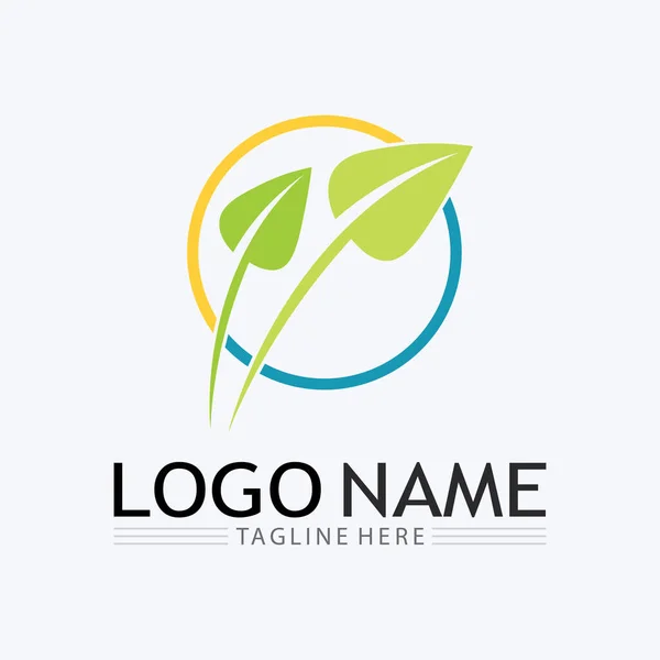 Boom Logo Pictogram Vector Illustratie Ontwerp Vector Silhouet Van Een — Stockvector