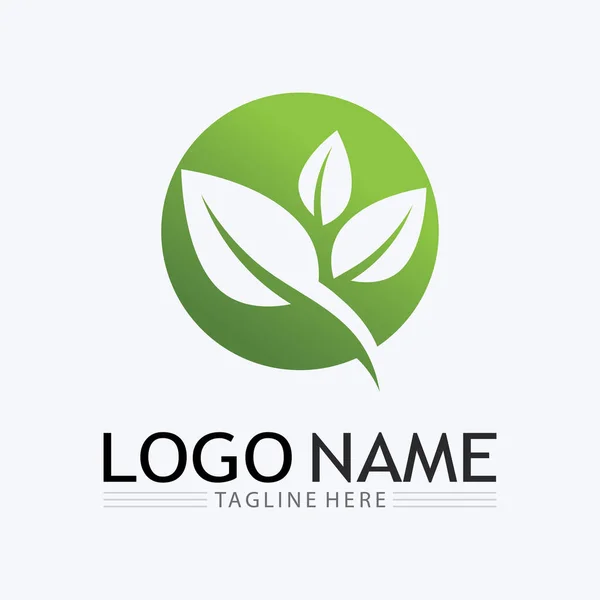 Eco Energy Vector Logo Leaf Symbol 플래시나 그래픽으로 녹색을 사용하 — 스톡 벡터