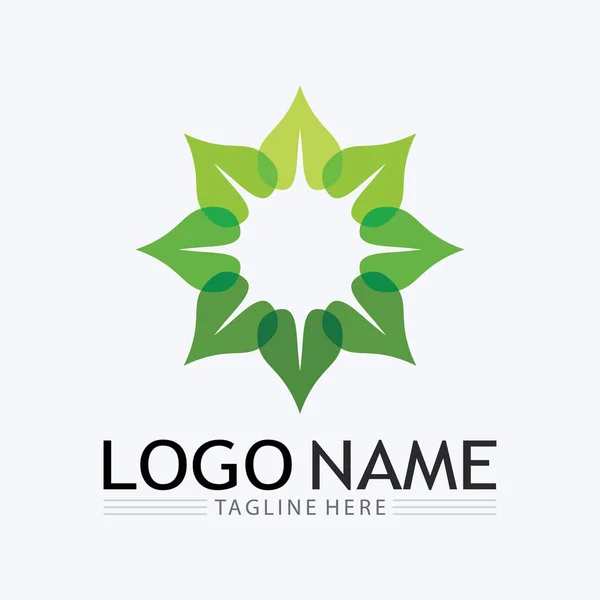 Эко Энергетический Векторный Логотип Символом Листа Зеленый Цвет Графикой Вспышки — стоковый вектор