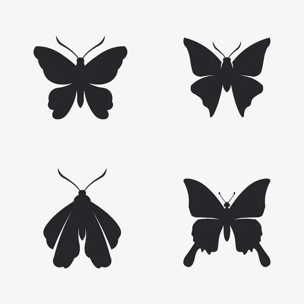 Schönheit Schmetterling Vektor Und Schmetterling Ikone Animal Design — Stockvektor
