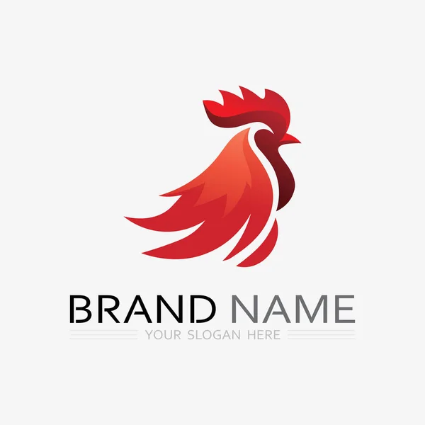 Logo Kurczaka Kogut Kura Logo Dla Hodowli Drobiu Zwierząt Logo — Wektor stockowy