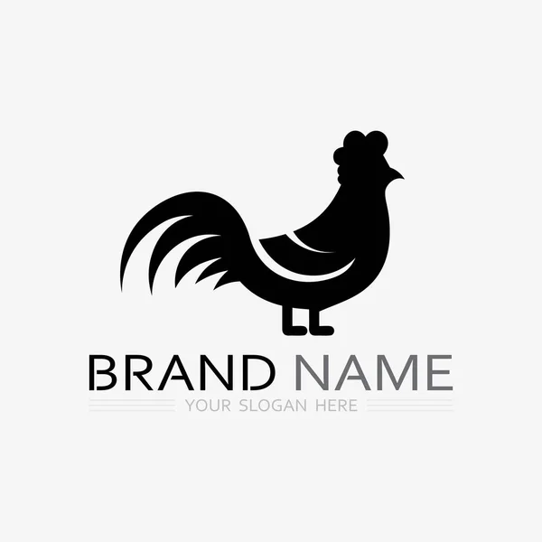 stock vector chicken logo  rooster and hen logo for poultry farming  animal logo vector illustration design